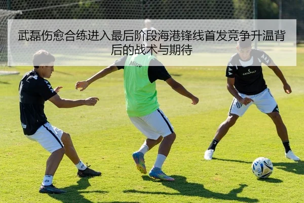 武磊伤愈合练进入最后阶段海港锋线首发竞争升温背后的战术与期待