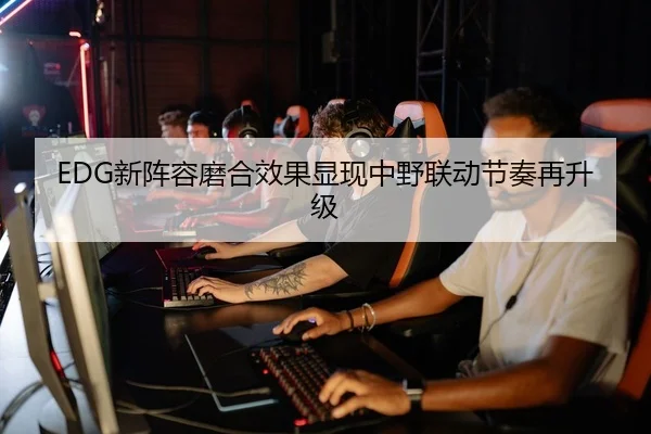EDG新阵容磨合效果显现中野联动节奏再升级
